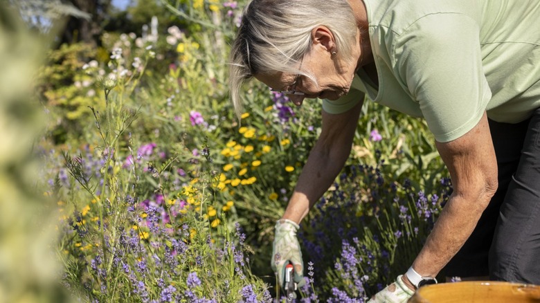 A woman pruning her flower garden