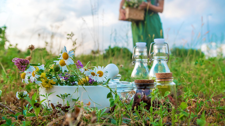 Collected herbs with medicinal properties