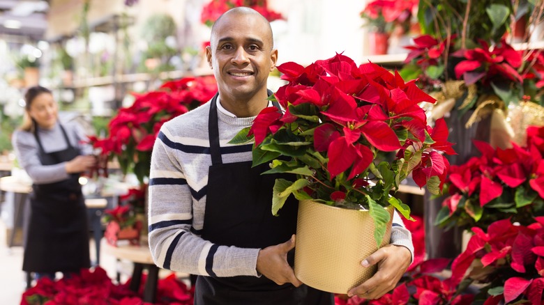 Man holding poinsettia