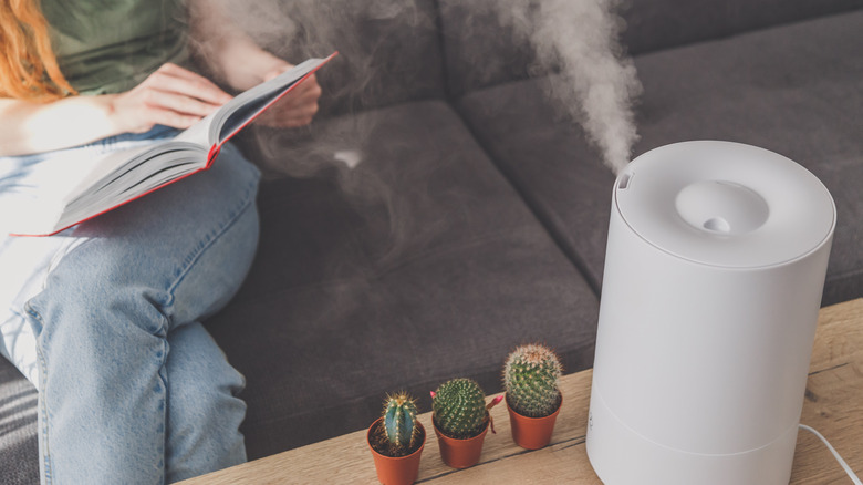 A woman reading in a house next to a humidifier