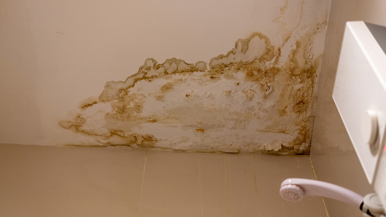 Peeling paint on a bathroom ceiling due to moisture and humidity