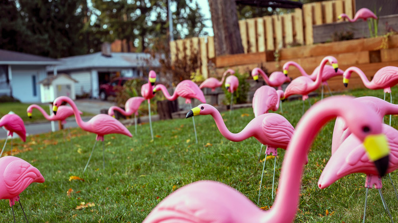 A yard filled with plastic flamingos.