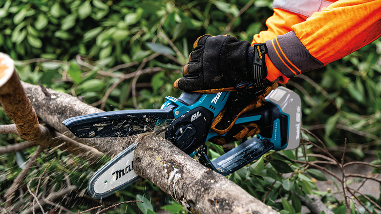 A person cutting a tree with Makita's 18V LXT Lithium-Ion Brushless Cordless 6-inch Pruning Saw