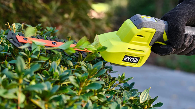 A person trimming a shrub with Ryobi's USB Lithium Shear Shrubber Kit