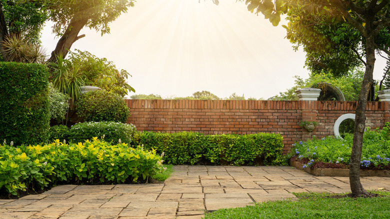Lawn with small trees