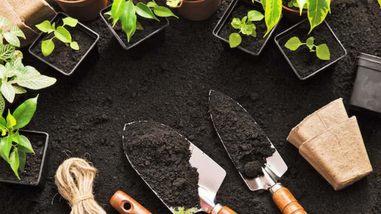 A table with potting soil, tools, and plant pots
