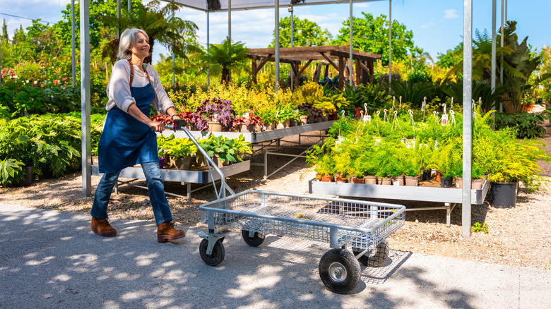 A woman pushing a cart around a garden store