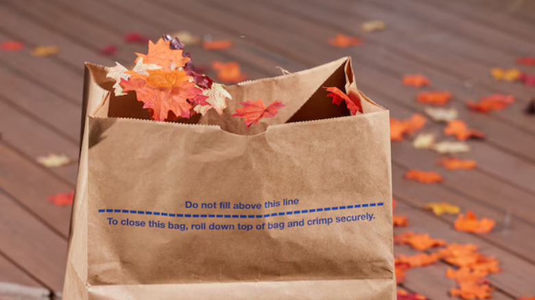 Close-up of one of Lowe's 30-Gallon Scent-free Outdoor Paper Lawn and Leaf Trash Bags