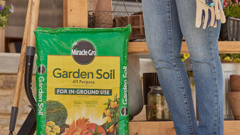 A bag of Miracle-Gro's In-Ground Use All-Purpose Garden Soil next to a gardener