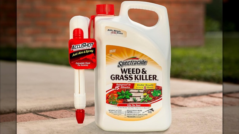Spectracide's Ready-to-Use 1-Gallon Trigger Spray Weed and Grass Killer