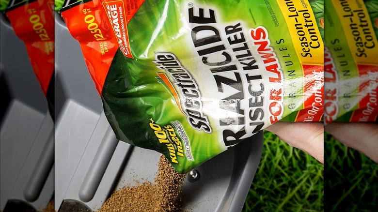 A person pouring Spectracide Triazicide into a spreader