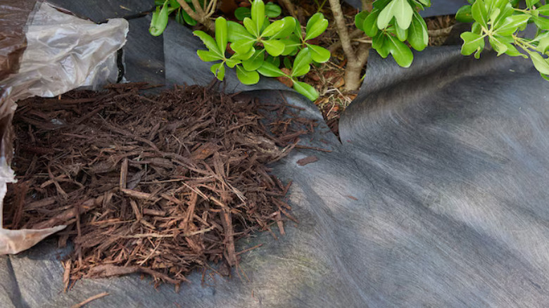 Close-up of mulch piled on Sta-Green's weed barrier fabric