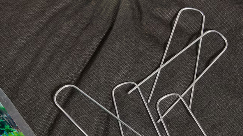 Close-up shot of Sta-Green's 4-inch Metal Landscape Fabric Pins