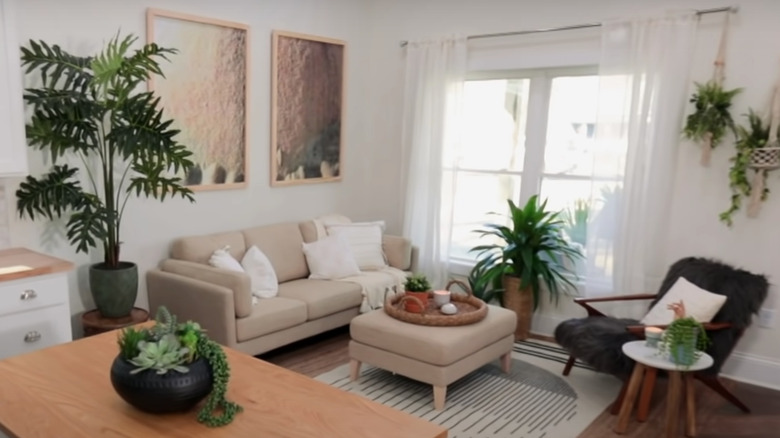 beige couch surrounded by plants