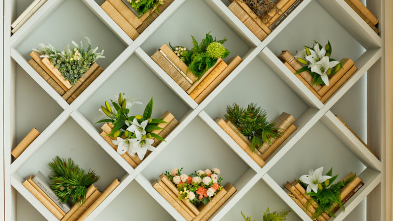 plants and books on shelf