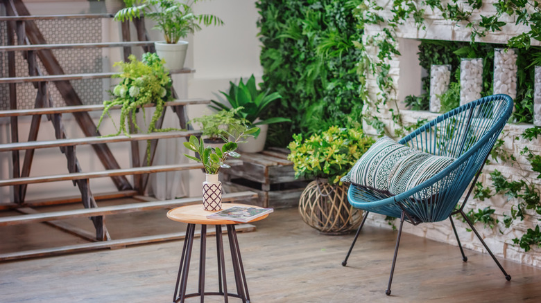room with viny plants