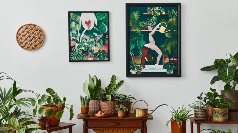 Tropical plants and wall art