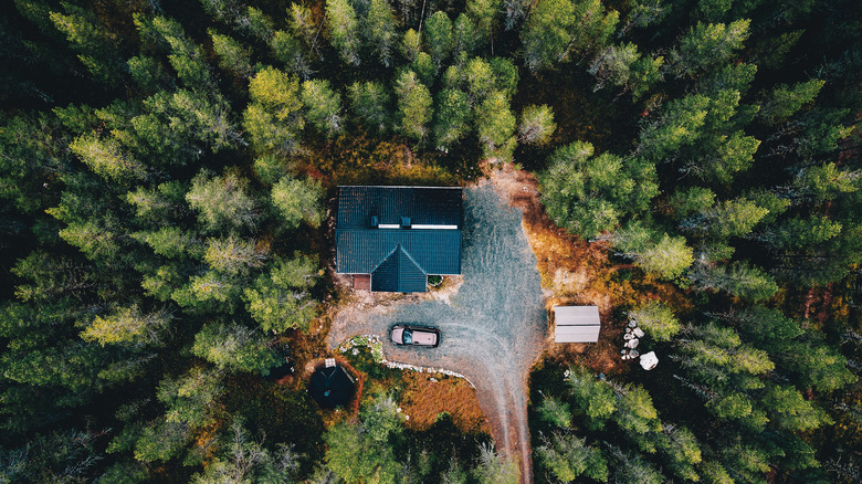 Cabin surrounded by pine trees