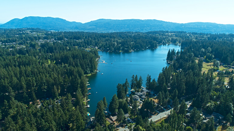Pine lake in Sammamish, Washington