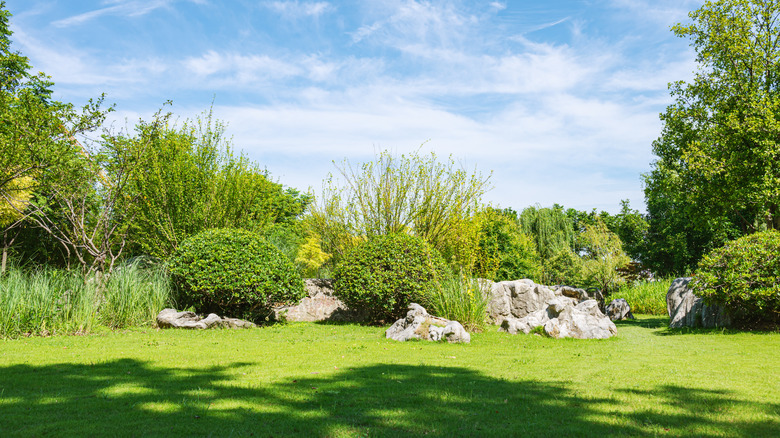 A beautiful garden landscape with areas bathed in sun and areas covered in shade