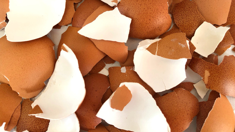 Broken eggshells
