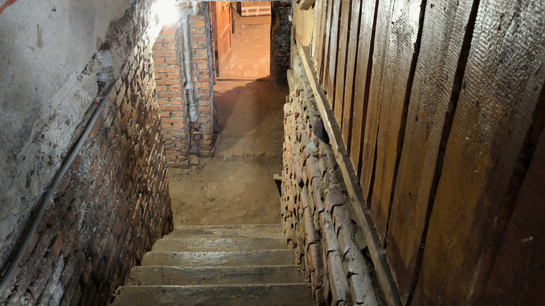 Steps leading down into an old basement, with walls in disrepair