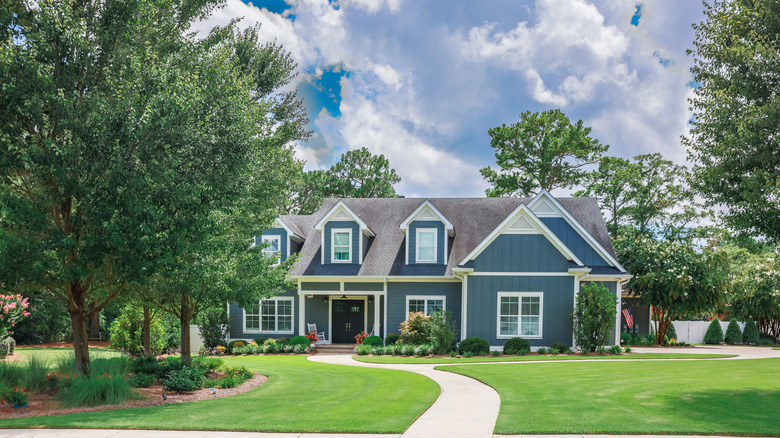 Large trees in the front yard of a house with a well-maintained lawn