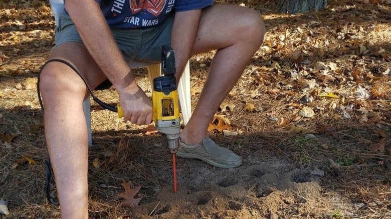 A person drilling planting hols with a cordless drill and auger bit