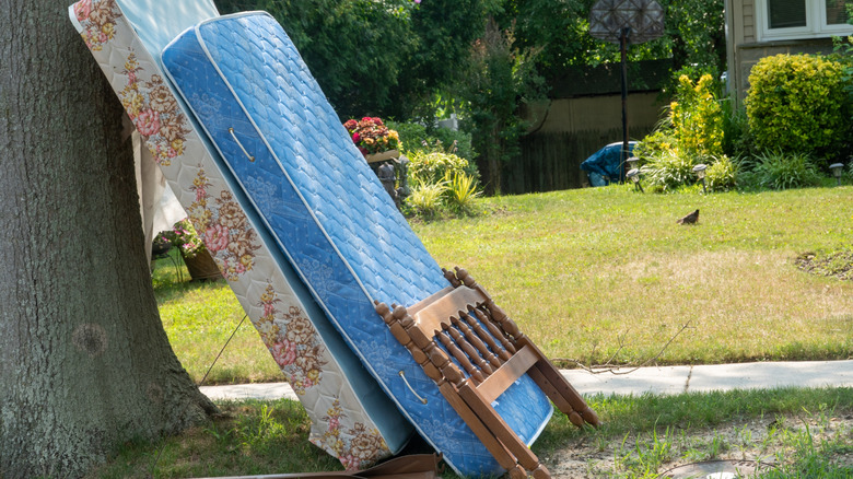 A box spring, mattress, and headboard leaning against a tree