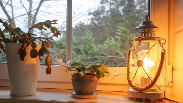 Closeup of a window sill with an antique looking lantern