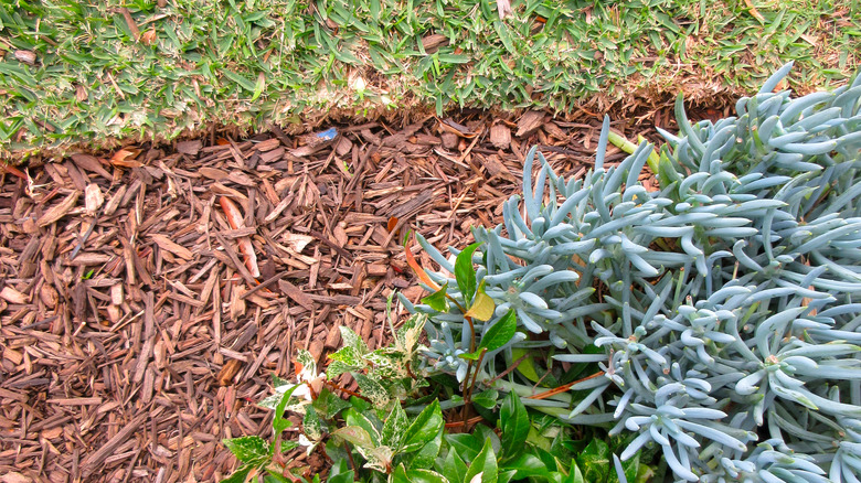 Lawn with red mulch