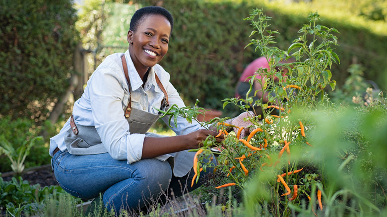 Woman working in garden