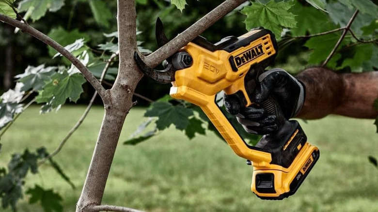 Man cutting thick branch off outdoor tree with DeWalt pruning shears