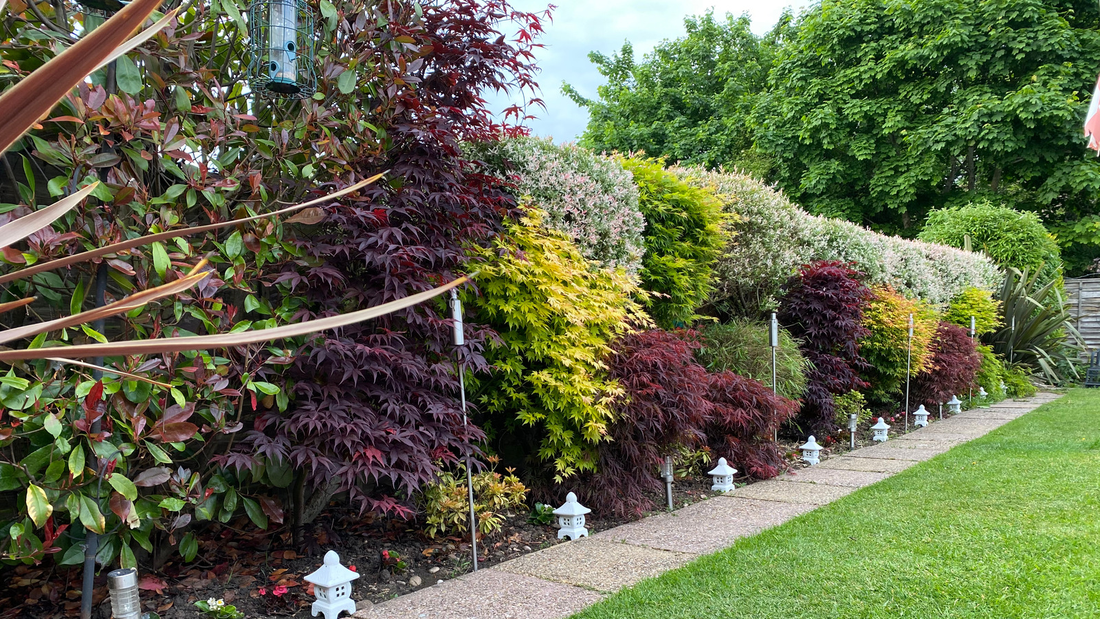 15 Trees Perfect For A Small Garden