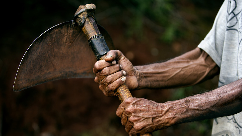 black man holding gardening hoe