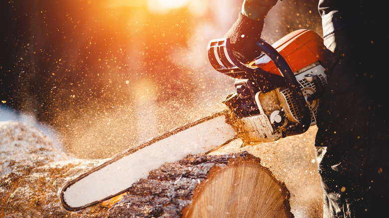 close-up of chain saw in motion
