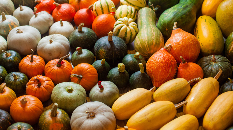 A collection of squashes