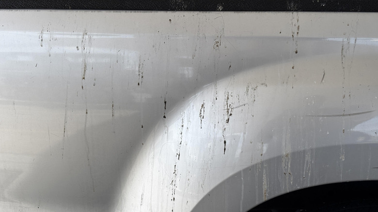 Bird droppings on the side of a truck