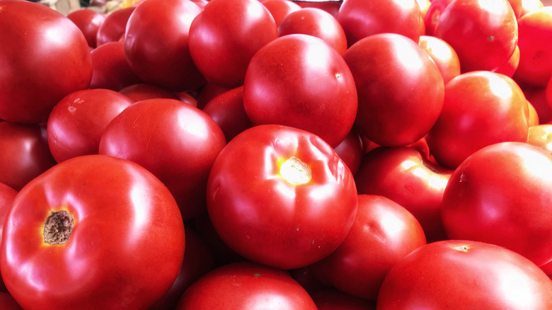 'Bush Early Girl' tomatoes up close