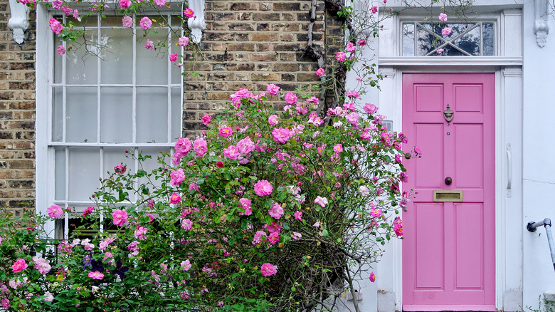bright pink door