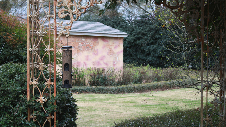 Bird feeder hanging from metal arch