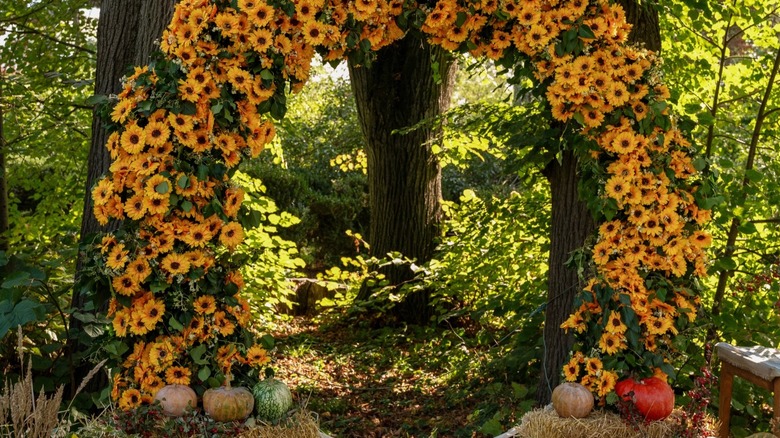 Fall themed garden arch with pumpkins and flowers