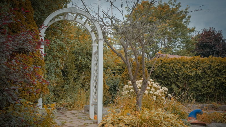 A white-painted garden arch with rounded top in a fall garden.