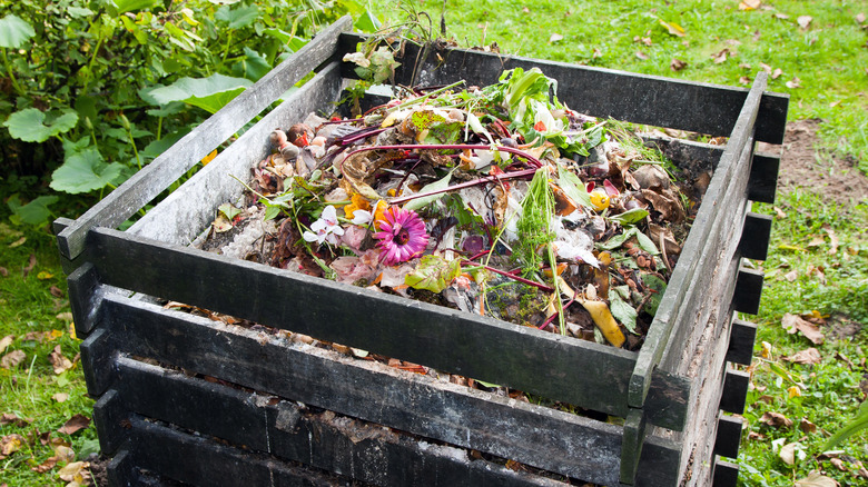 compost bin in garden