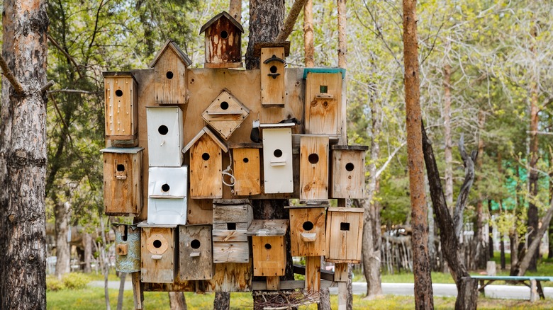 many different birdhouse designs