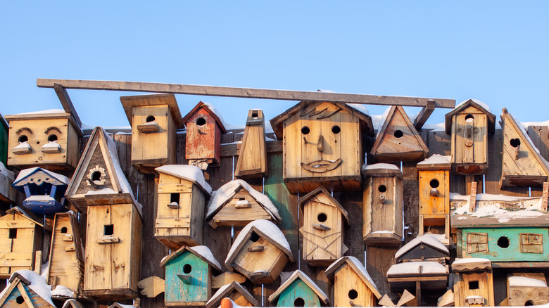 variety of wooden bird feeders