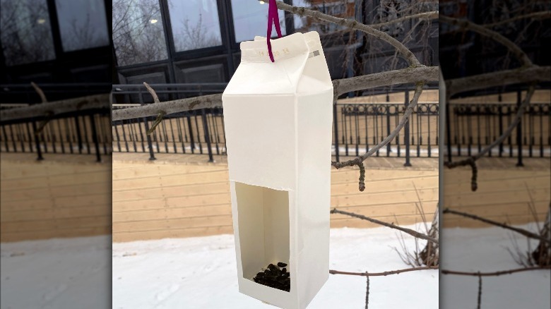 milk carton as bird feeder