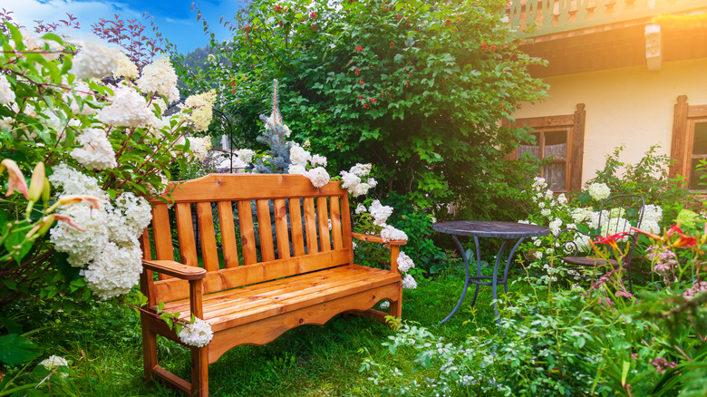 wooden garden bench near flowers