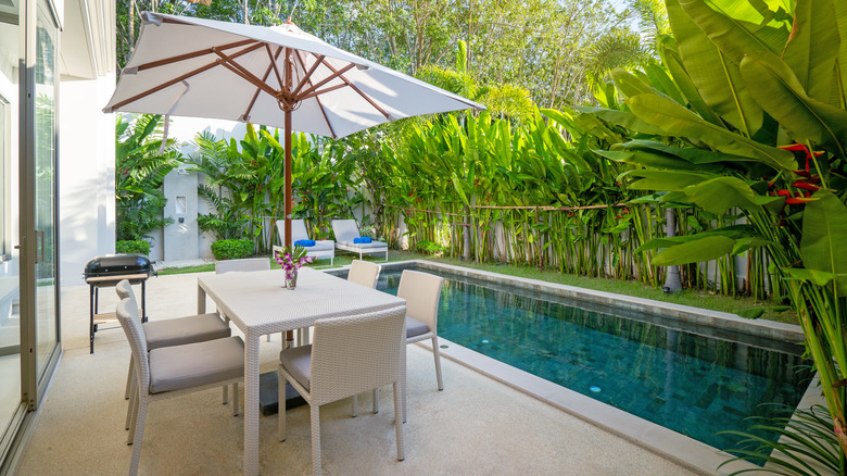 patio table umbrella and pool