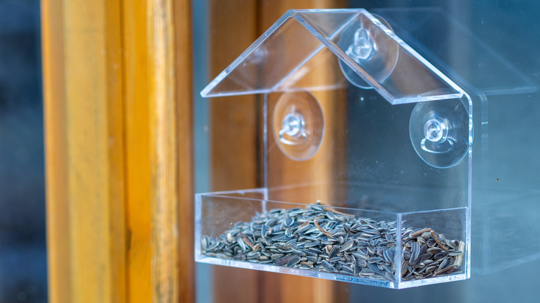 Clear acrylic bird feeder on a house window